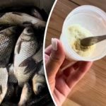 Vecāki makšķernieki būs greizsirdīgi: Lifehacks par to, kā noķert kalnu